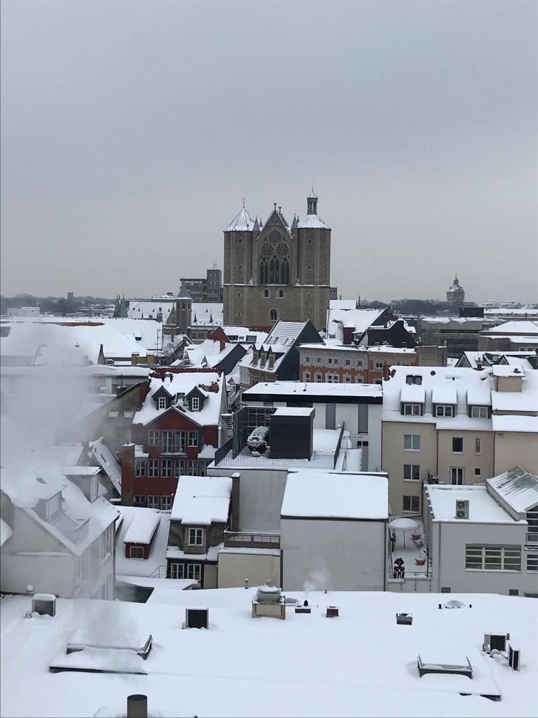 Braunschweig rooftop view in snow 
